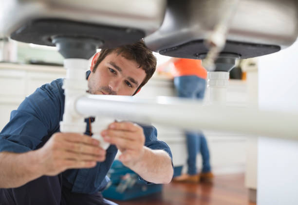 Best Sprinkler Systems  in Muscatine, IA